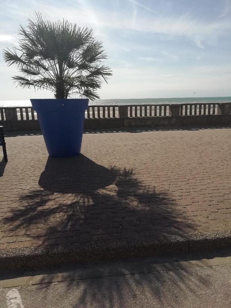T3 Rez-De-Chaussee Lumineux Avec Terrasse Proche Plage Cucq Kültér fotó