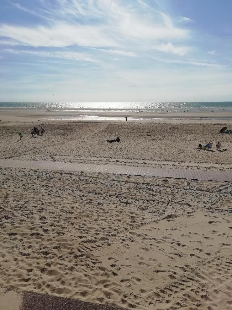 T3 Rez-De-Chaussee Lumineux Avec Terrasse Proche Plage Cucq Kültér fotó