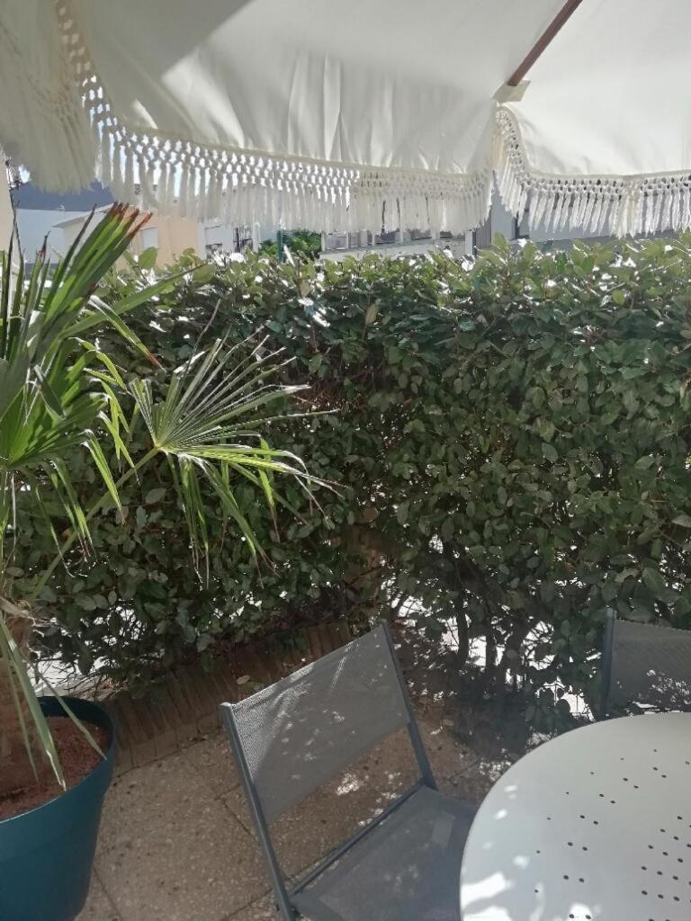 T3 Rez-De-Chaussee Lumineux Avec Terrasse Proche Plage Cucq Kültér fotó