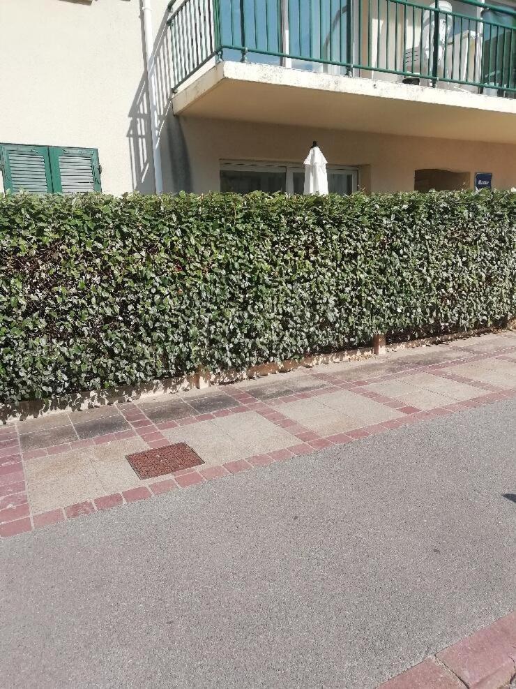 T3 Rez-De-Chaussee Lumineux Avec Terrasse Proche Plage Cucq Kültér fotó